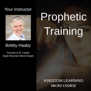 Bobby Haaby /// Prophetic Training - Micro Course