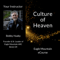Bobby Haaby /// Culture Of Heaven