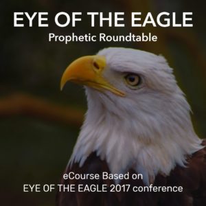 Eye of the Eagle - Conference eCourse