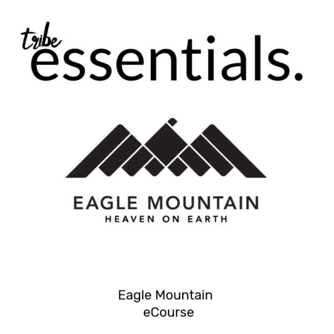 Tribe Essentials /// The 7 C's