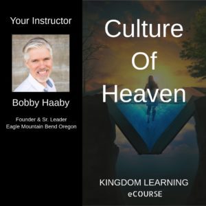 Bobby Haaby /// Culture Of Heaven