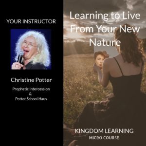Christine Potter /// Basics of Living from Your New Nature
