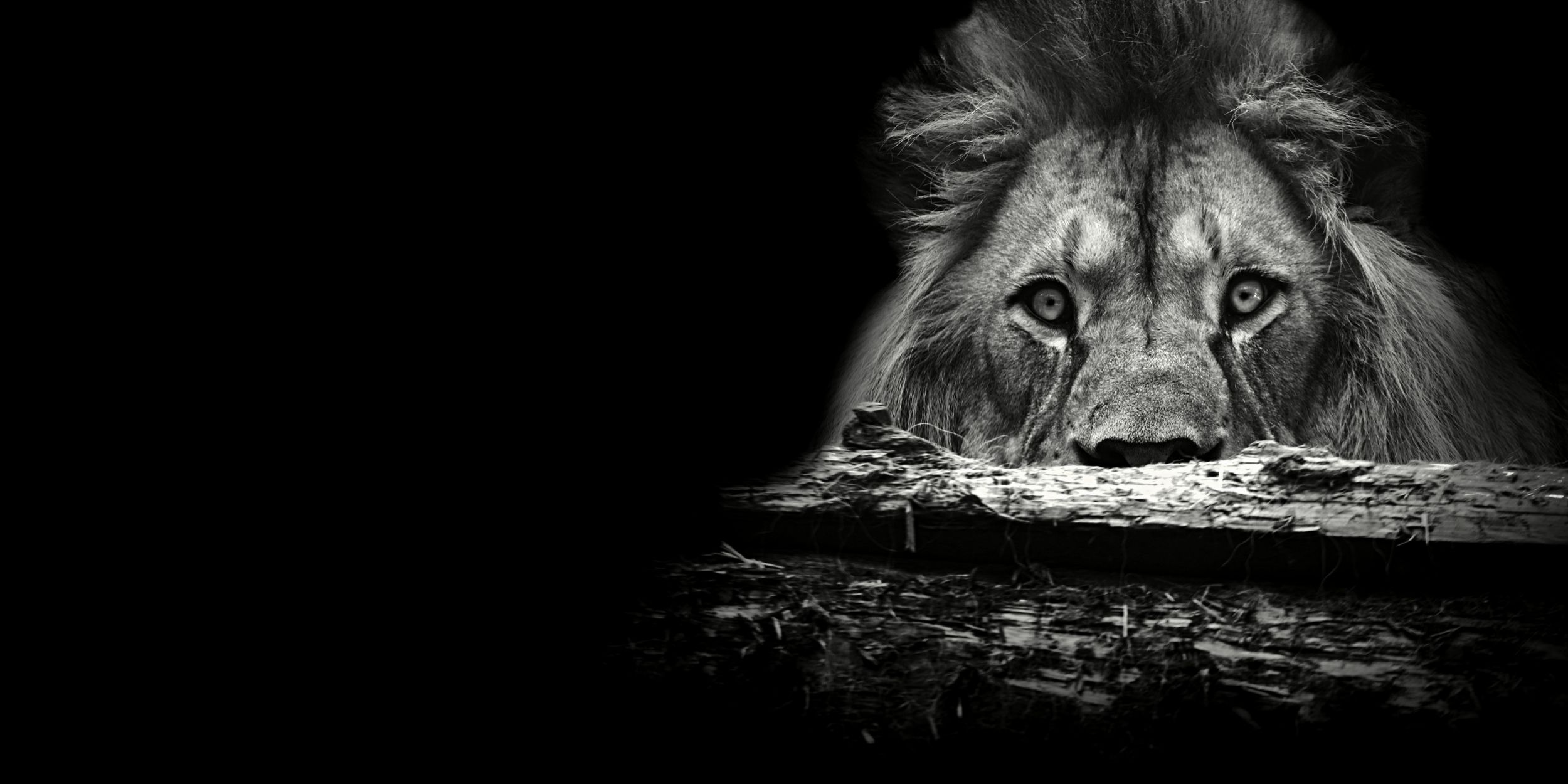 EM-SOAR-School-Year 1-Track 2-A Roadmap for Making Jesus Famous